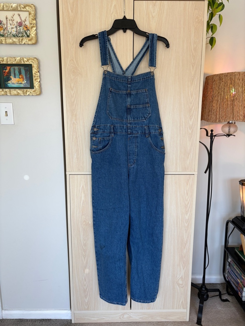 Free People Ziggy Overalls